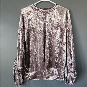 Anthropologie RO+DE Mauve Crushed Velvet Long Sleeve Top M